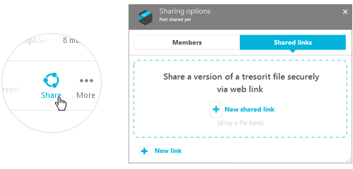 Tresorit public sharing feature is here. Get encrypted link!