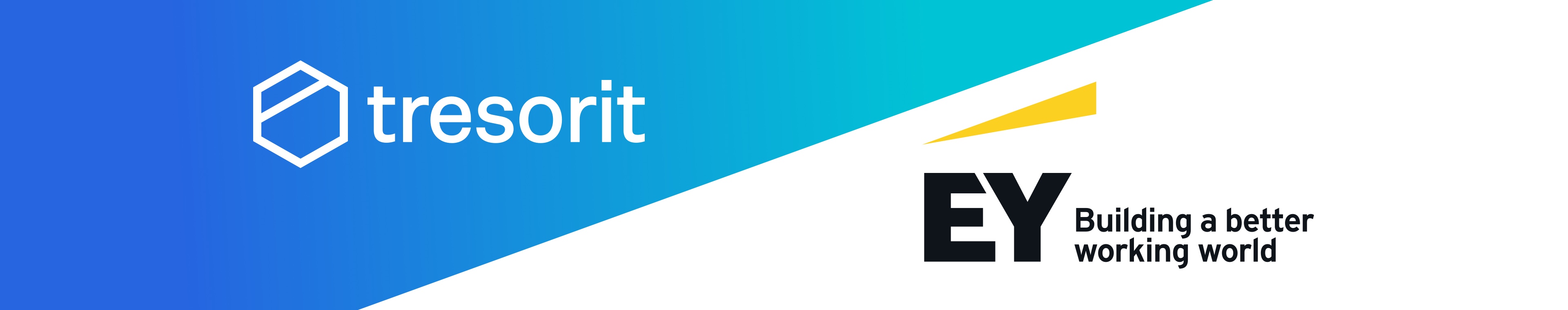 Ernst & Young-Bewertung bestätigt Tresorits Sicherheitsarchitektur